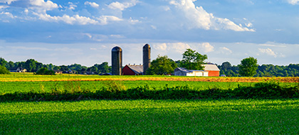 Albright's Mill and field
