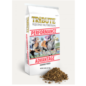 Tribute Performance Advantage