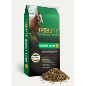 Tribute Seniority Textured GC Plus