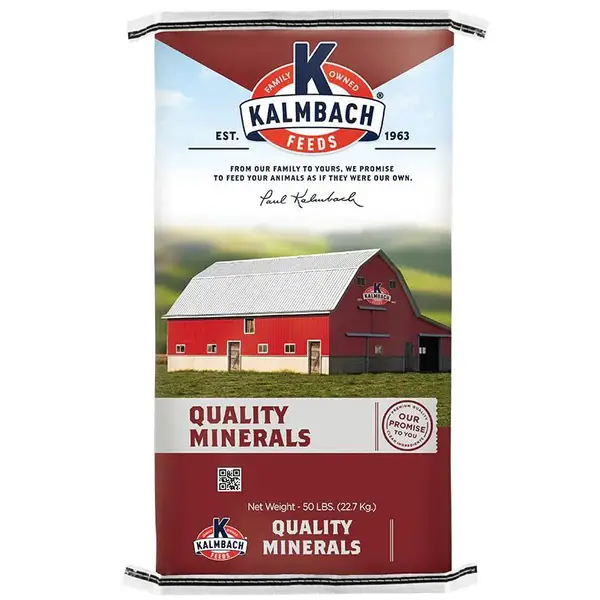 Kalmbach Game Plan 2:1 mineral