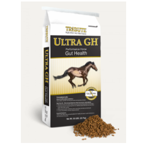 Tribute Ultra GH