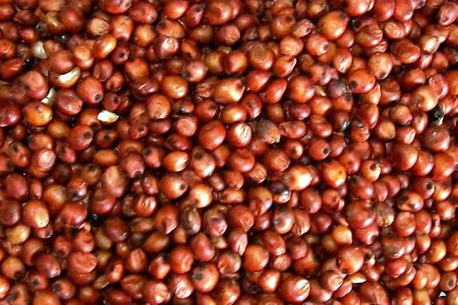 Red Milo
