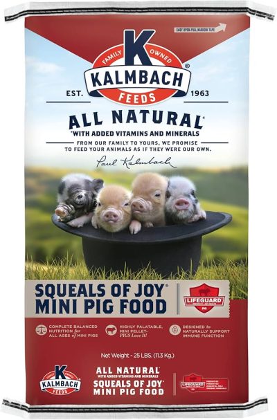 Kalmbach Squeals of Joy Mini Pig