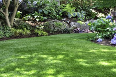 This beautiful backyard woodland garden features