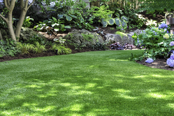 This beautiful backyard woodland garden features