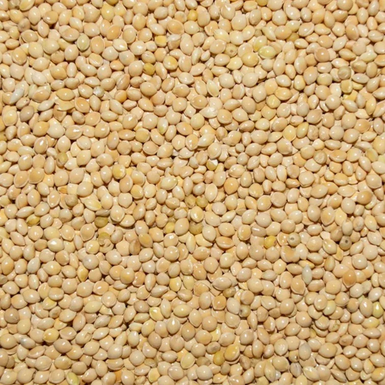 Millet