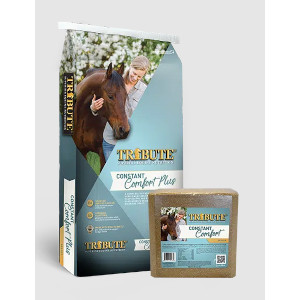 Tribute Constant Comfort Block