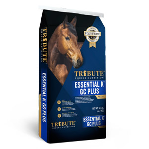 Tribute Essential K GC Plus