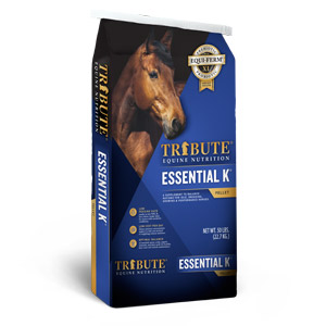 Tribute Essential K