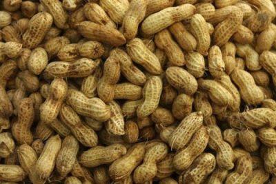 Raw Inshell Peanuts
