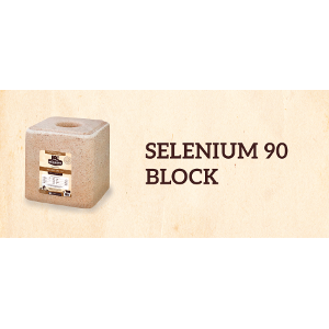 Selenium 90 Mineral Block