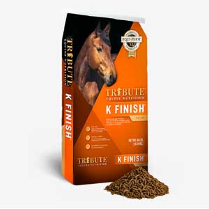 Tribute K Finish Supplement