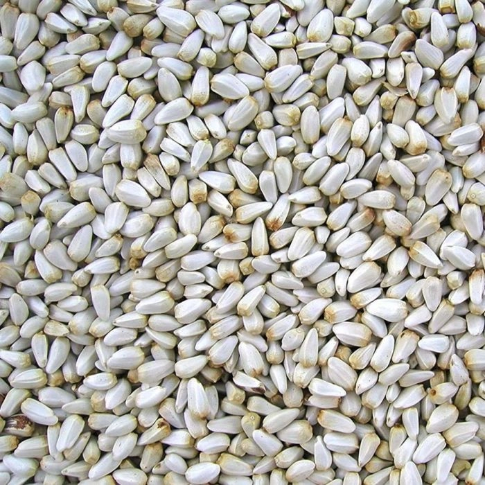 Safflower